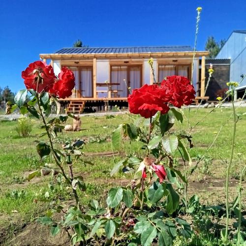 a house with red roses in front of a house at Flores del Limay cabañas in Dina Huapi