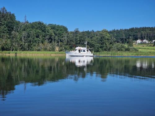 a boat on a lake with trees in the background at Trevligt fritidshus med underbar utsikt in Gothenburg