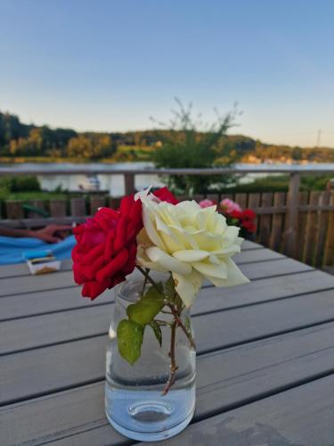 a vase filled with red and white flowers on a table at Trevligt fritidshus med underbar utsikt in Gothenburg