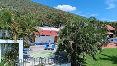 a view of a house with a pool and palm trees at Hotel Iguanas in Yautepec