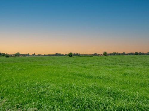 a field of green grass with the sky in the background at Villa Bianco in Alphen