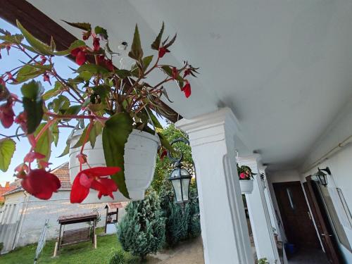 Jardín al aire libre en Diófa vendégház Cserépfalu