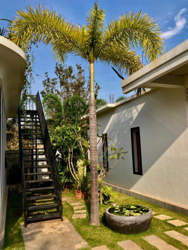 a palm tree next to a staircase next to a house at Enchanted Pool Bungalows Siem Reap, right near the Wake Park in Phumĭ Kruŏs