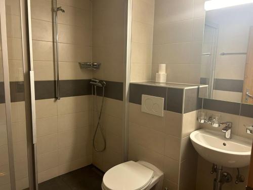 a bathroom with a shower and a toilet and a sink at Apartment Veysonnaz near Ski Lift 4 Vallées in Veysonnaz