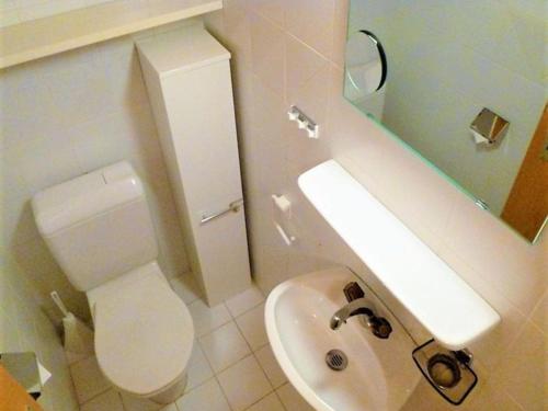 a bathroom with a white toilet and a sink at Apartment in Veysonnaz near Ski Gondola in Veysonnaz