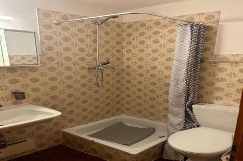 Apartment near Piste des Mayens ski-slope