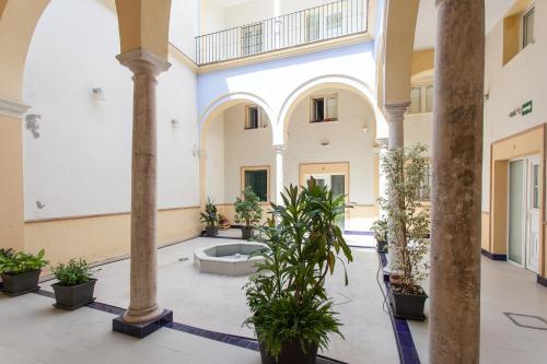 une cour avec des plantes en pot dans un bâtiment dans l'établissement Apartamentos Alberto Lista 9, à Séville