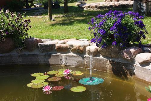 a pond with flowers and a water fountain at Traku Horizontai in Trakai