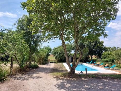 un arbre à côté d'une piscine avec des chaises dans l'établissement Chambre Léa à Châteaudun, accès PMR, jardin et piscine - FR-1-581-150, à Châteaudun