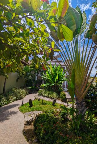 a garden with a palm tree and a pathway at Los Gallos - Suite superior in Lo de Marcos