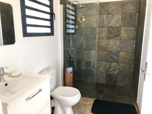a bathroom with a shower and a toilet and a sink at Studio in Saint-Pierre