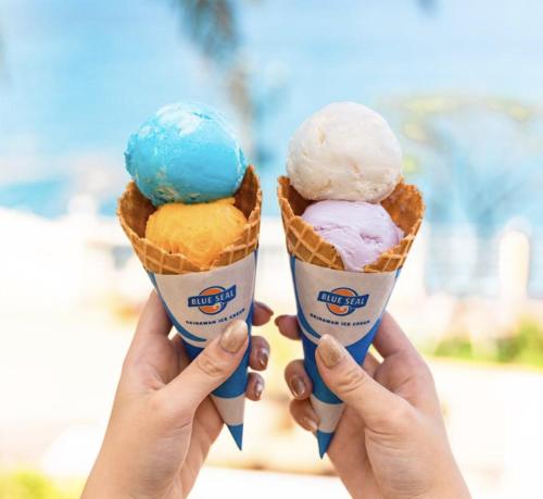 a person holding two cones of ice cream at ヤンバルハウスクイナ in Nago