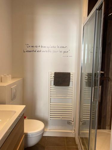 une salle de bain avec toilettes et douche en verre dans l'établissement Cosy studio 20m2 Marseille Vieux-Port, à Marseille