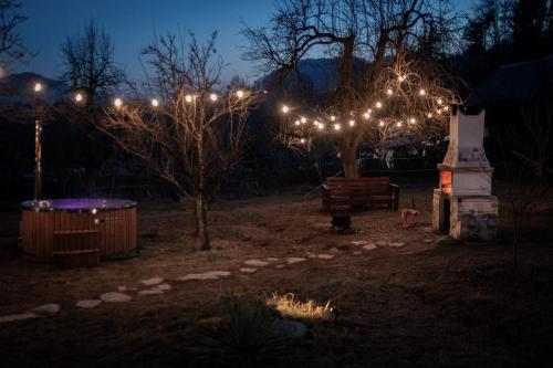 a park lit up at night with lights on trees at TheRefuge in Curtea de Argeş