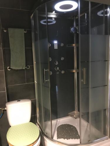 une salle de bain avec douche et toilettes dans l'établissement Studio vue splendide sur mer et port, à Saint Cyprien Plage
