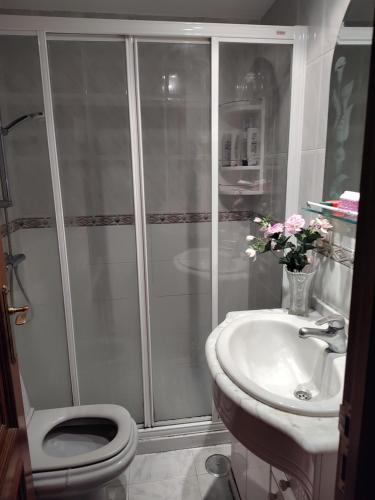 a bathroom with a shower and a toilet and a sink at Habitacion Alameda de Osuna Madrid Aeropuerto in Madrid