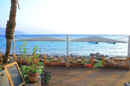 a group of people sitting under umbrellas on the beach at NEOM DAHAB - - - - - - - - - - - Your new hotel in Dahab with private beach in Dahab