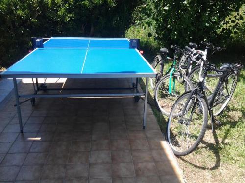 Stolní tenis v ubytování Hotel Rustichello nebo okolí