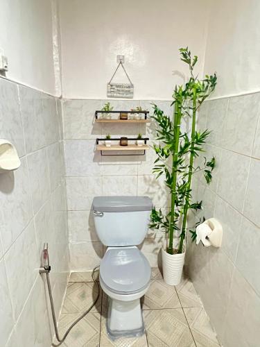 a bathroom with a toilet and a potted plant at Maliag Studio Type Room for Rent in Coron
