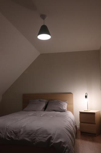 une chambre avec un grand lit avec une lumière dessus dans l'établissement La Bellevilla, à Belleville-sur-Loire
