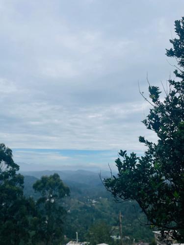 a view of a valley with trees in the foreground at Sana's homestay haputhale in Haputale