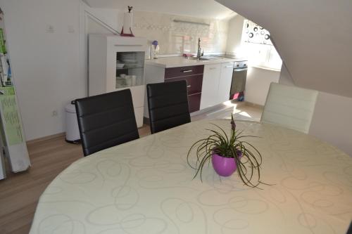 Apartment Branko