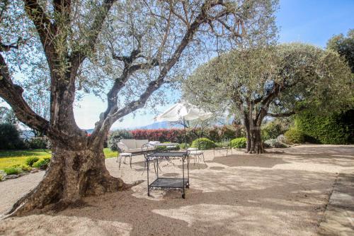 Mouans Sartoux, bastide avec magnifique parc et piscine