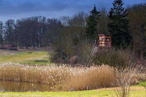 a view of a house in the middle of a field at TINY HOUSE FLEESENSEE mit eigenem Garten und nur wenige Meter vom Seeufer in Göhren-Lebbin