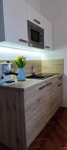 Studio apartman Royal s privatnim parkingom