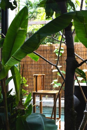 a wooden chair sitting in the middle of a tree at Takak Villas in Siem Reap