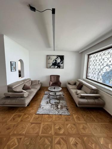 Aveni Home