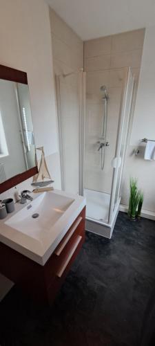 ein Badezimmer mit Dusche und weißem Waschbecken in der Unterkunft FeWo-Butze 3 Esens in Esens