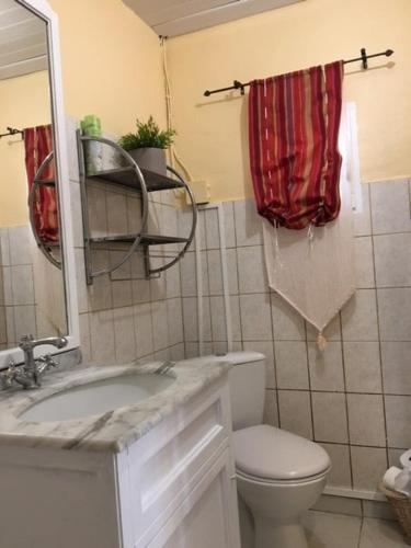 une salle de bain avec toilettes, lavabo et miroir dans l'établissement La Petite Chapelle, à Velleron
