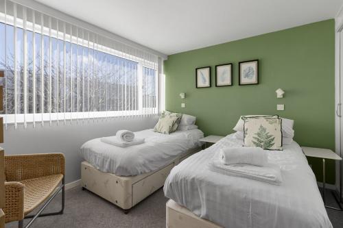 two beds in a room with green walls and a window at Heathcliff, Coastal Walks and Sea Views in Brixham