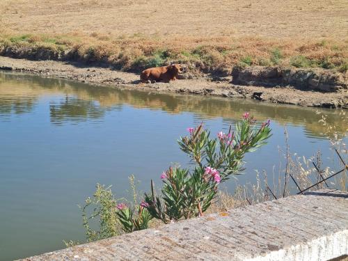 Alojamiento Rural Finca Barral photo 151
