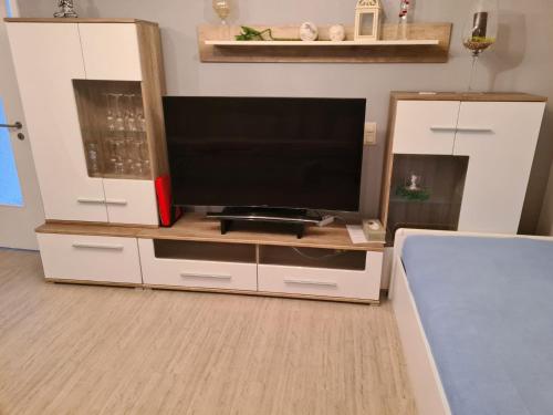 Televisyen dan/atau pusat hiburan di Gästehaus Petra