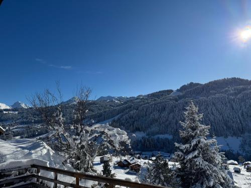 Chalet Cosy Les Gets Vue Montagne