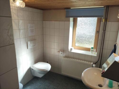 a bathroom with a toilet and a sink at Ferienhof-Störwiese in Arpsdorf