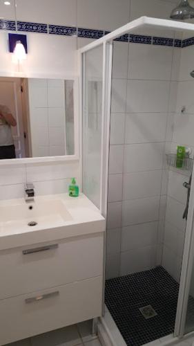 une salle de bain avec une douche, un lavabo et un miroir dans l'établissement les hauts de st clair,vue mer et vert,tres calme, au Lavandou