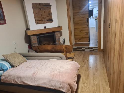 a living room with a couch and a fireplace at Dom z Klimatem in Wałbrzych