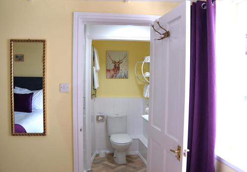 a bathroom with a toilet and a mirror at Radcliffe Guest House in Ross on Wye