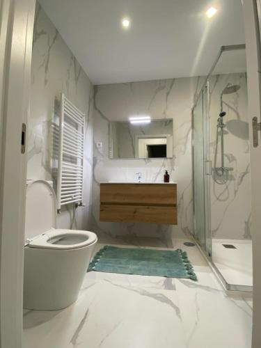 a bathroom with a toilet and a sink and a shower at casa de campo in Virtelo
