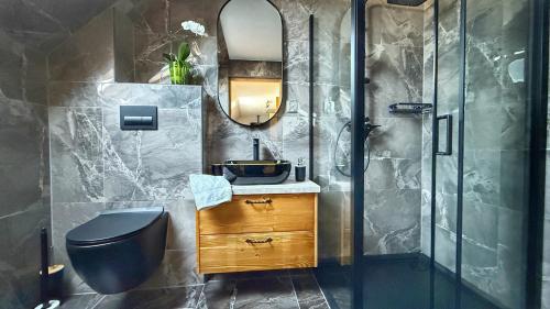 a bathroom with a sink and a toilet and a mirror at Apartament u Bartosów in Czarny Dunajec