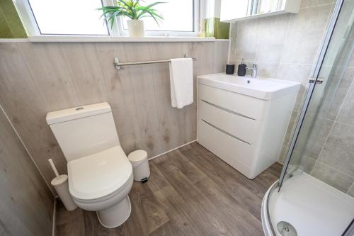 a bathroom with a toilet and a sink and a shower at Frodo's Folly in Port Talbot