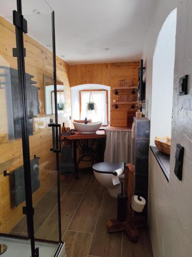 a bathroom with a sink and a toilet in a room at Ferienhaus "De Sieme" in Olbernhau