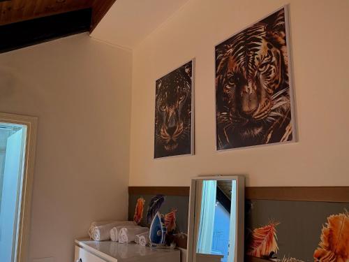 two pictures of tigers on the wall of a room at Hosting Dreams Attics - Duomo in Milan