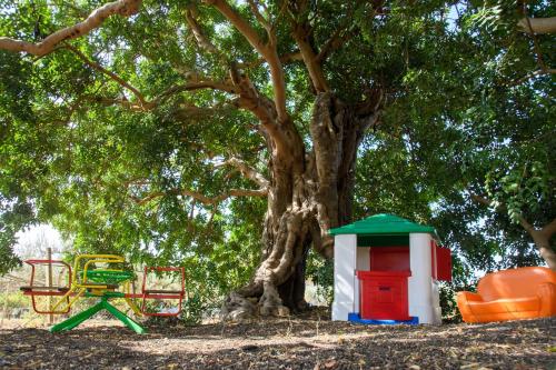 a park with a tree and some play equipment at Stella del Rio in Naro