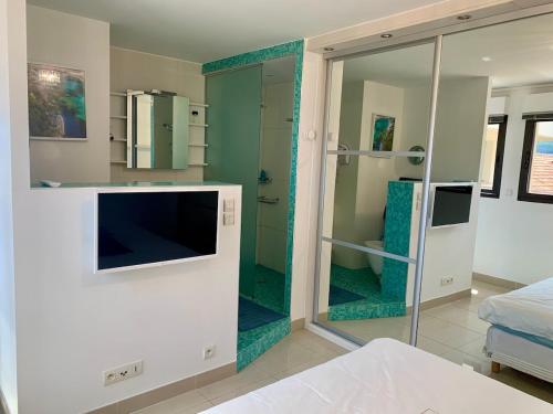 La salle de bains est pourvue d'une douche en verre et d'une télévision. dans l'établissement Exceptionnel! ST CYR SUR MER Appartement sur Plage, aux Lecques
