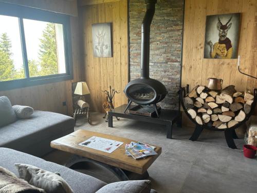 a living room with a wood stove and a couch at Chalet Le Bisolet in Les Déserts