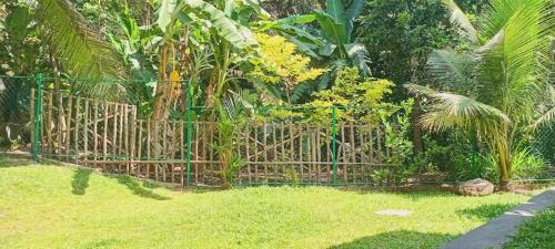 a wooden fence in a yard with grass and trees at Sun See Villa Hikkaduwa in Hikkaduwa